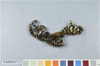 藏品(高砂蛇)的圖片